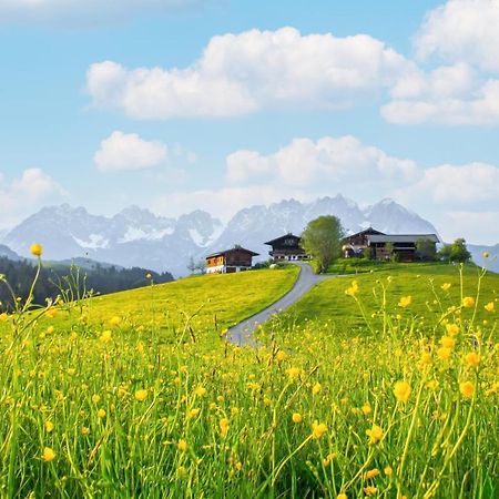 Mountain Vista - Bio Yoga Hof Apartment Kitzbuhel Luaran gambar