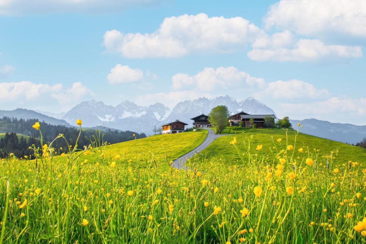 Mountain Vista - Bio Yoga Hof Apartment Kitzbuhel Luaran gambar