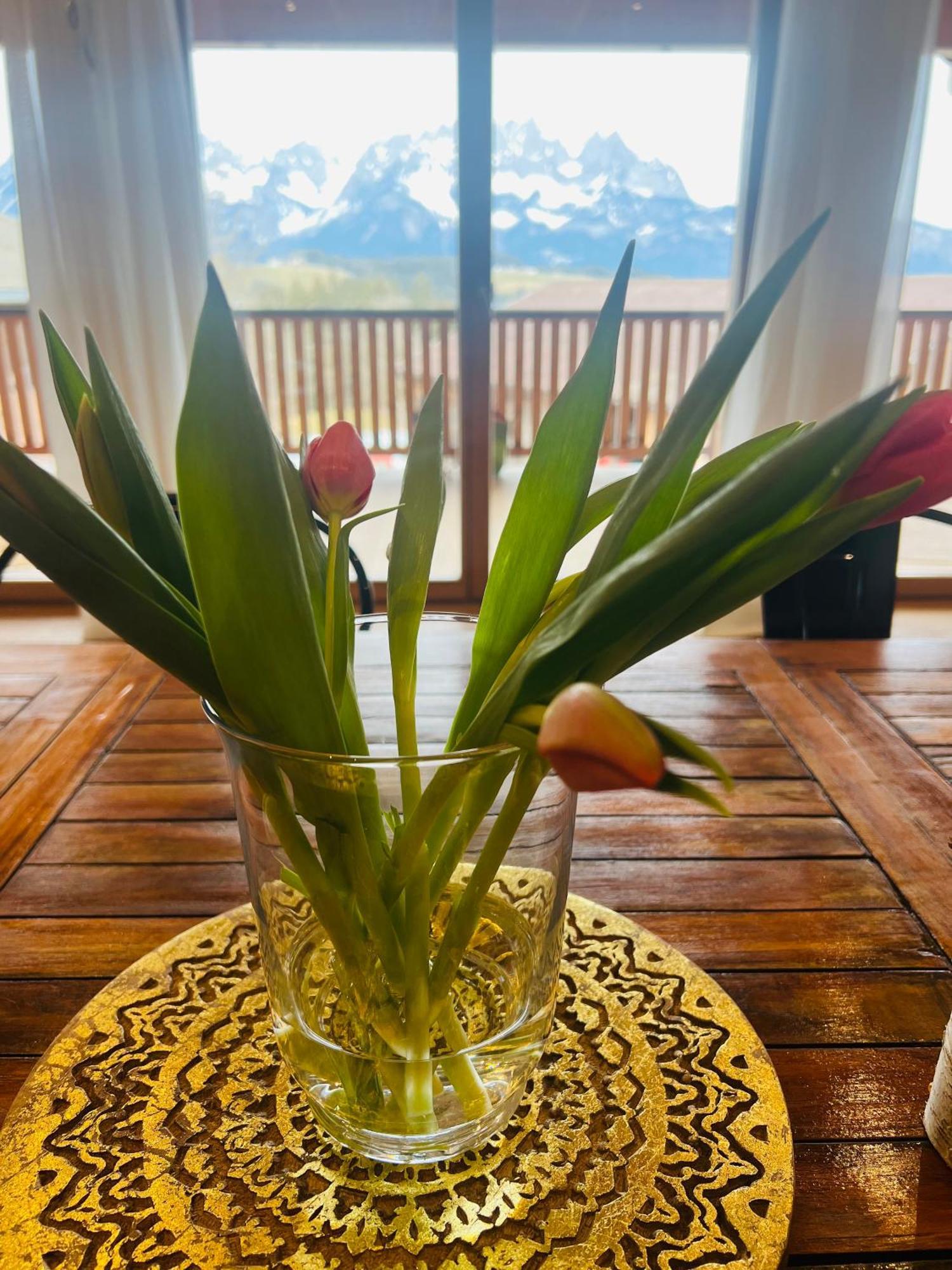 Mountain Vista - Bio Yoga Hof Apartment Kitzbuhel Luaran gambar